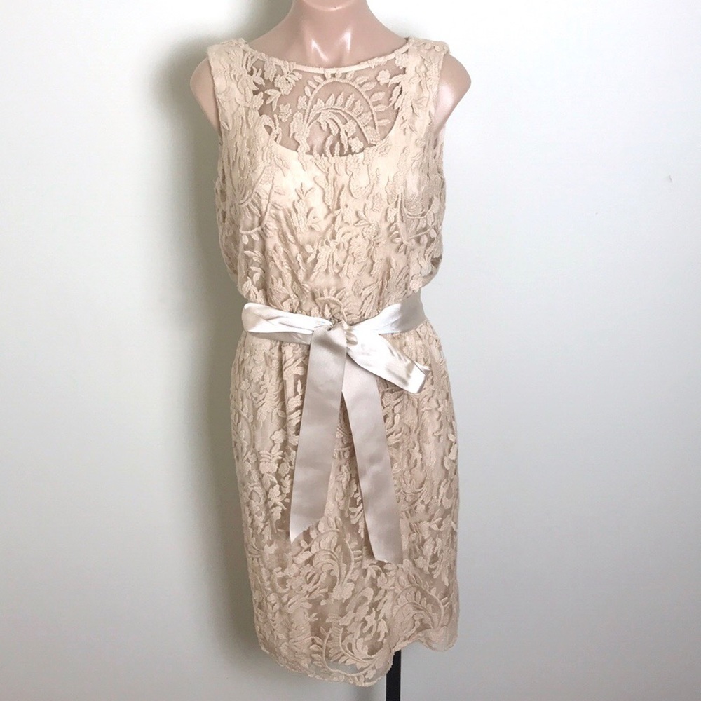 Adrianna Papell Illusion Lace Champagne Dress